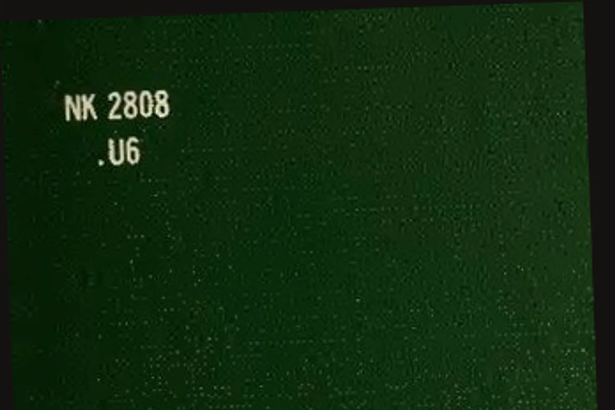 Batum sahil bulvarı palmiye ağaçları ve Karadeniz kıyısı