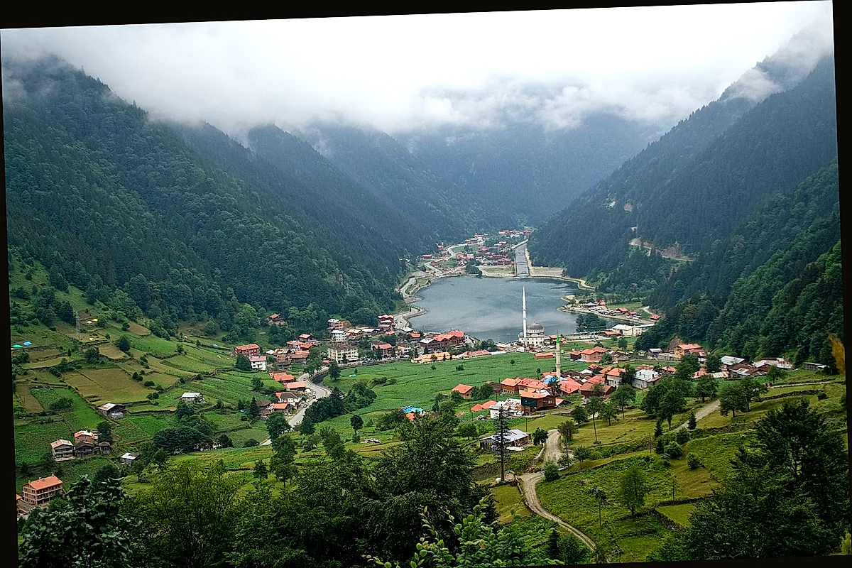 Uzungöl sabah sis ve yeşil yamaçlar