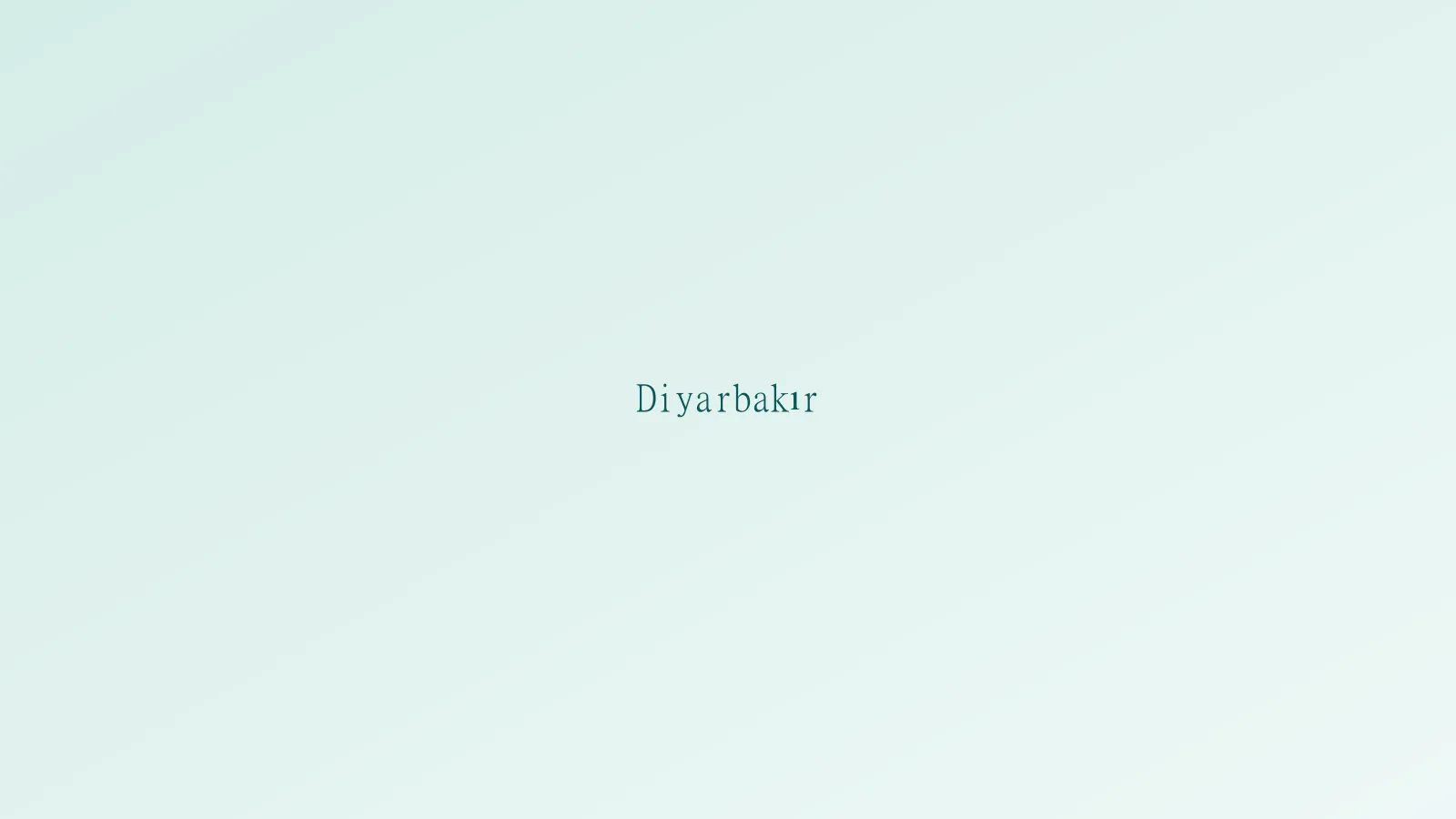 Diyarbakır gezisi — Diyarbakır Surları manzarası